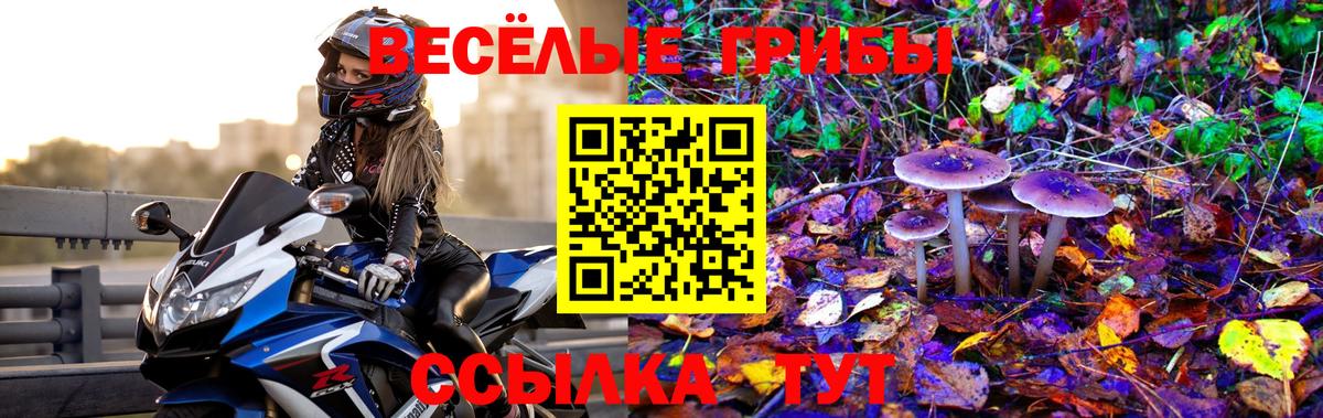 Минеральные Воды  Псилоцибиновые грибы Magic Shrooms  Вход с VPN 